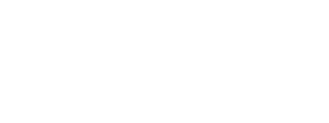 NSG LOGO WHITE